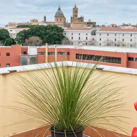 Terrace In The Sky Overlooking Historic Center Palermo